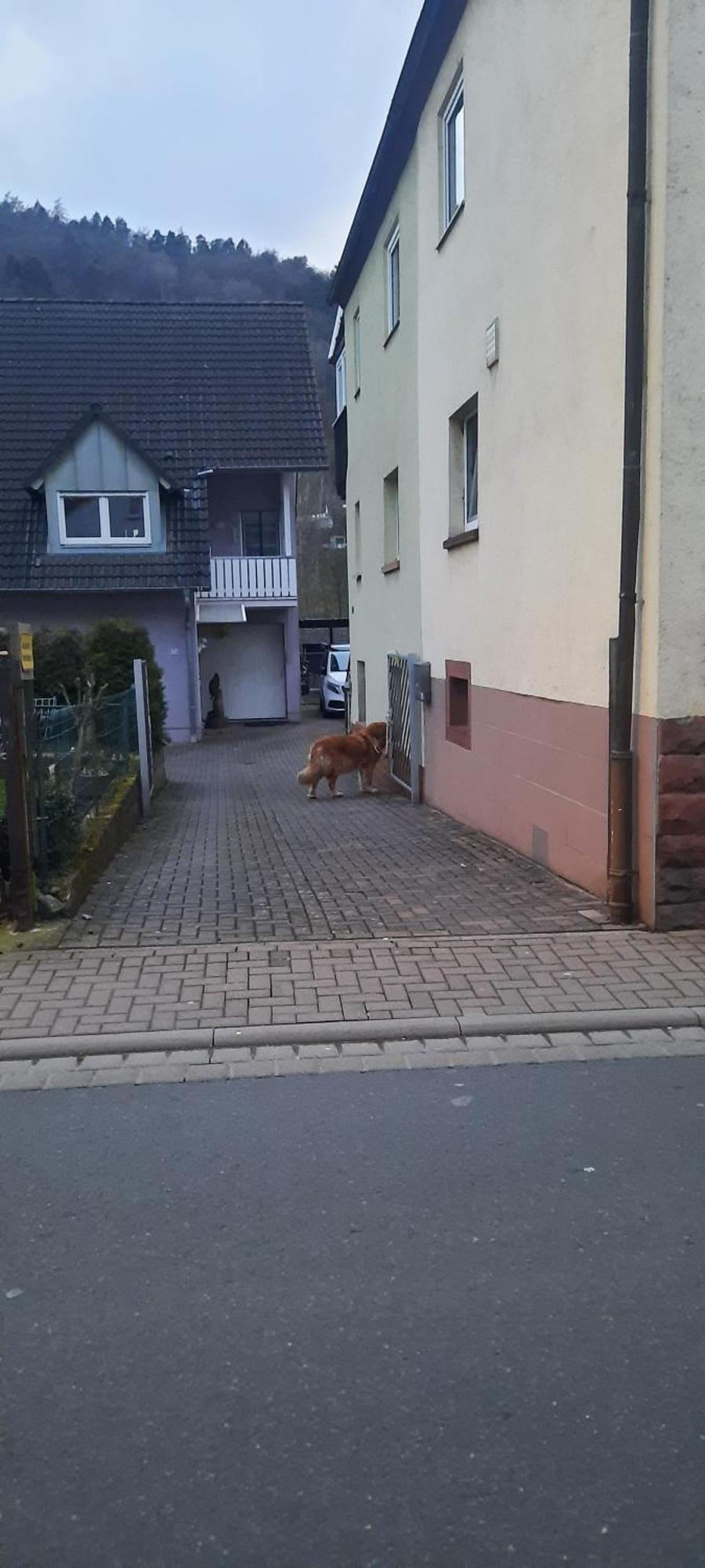 Main Zu Hause Villa Eichenbuhl  Exterior foto